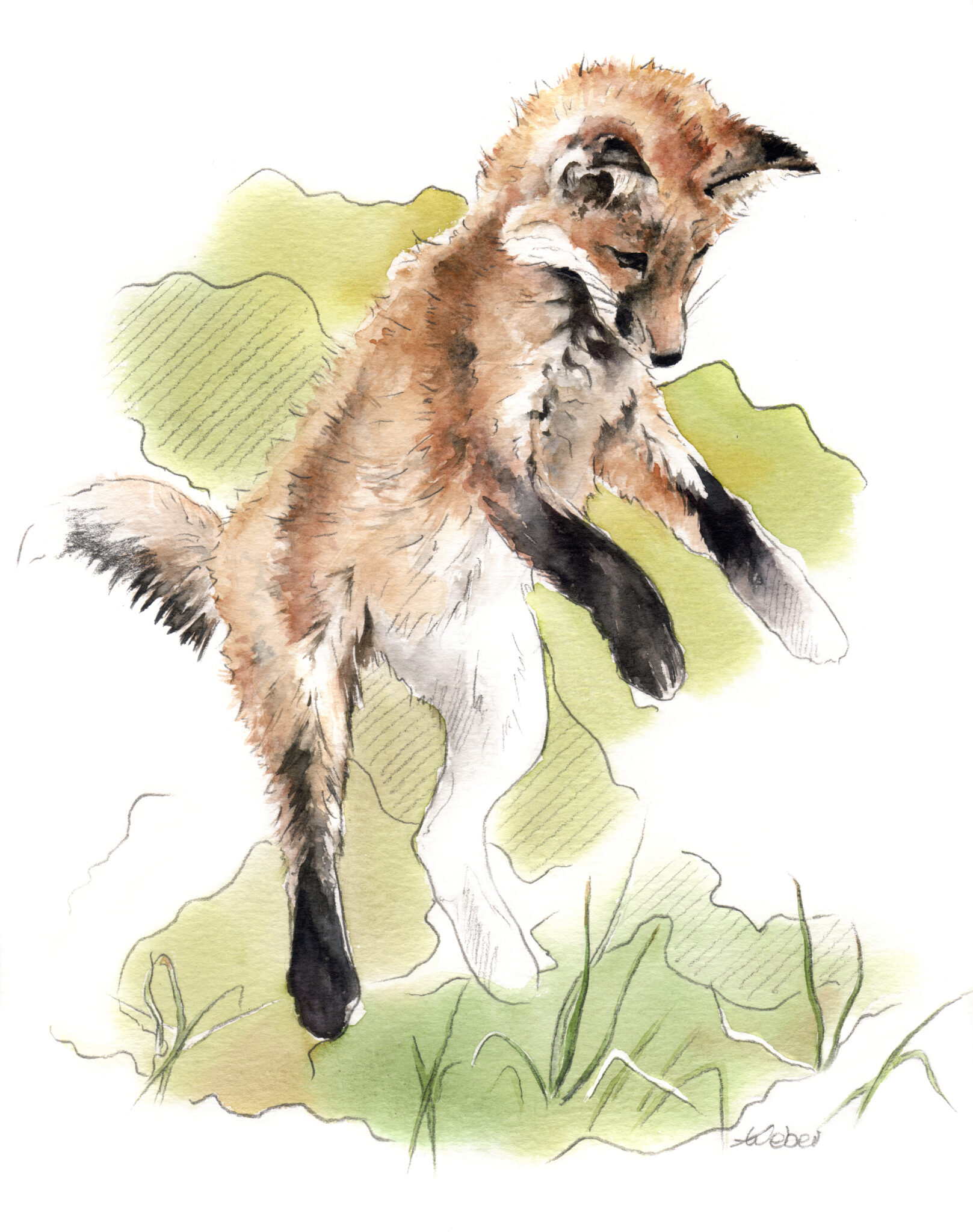 saut-de-page