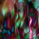 INSPIRA-006