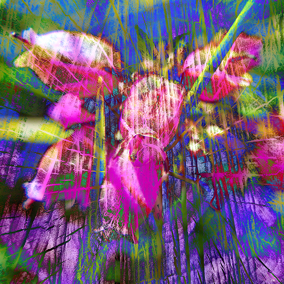 inspira-010