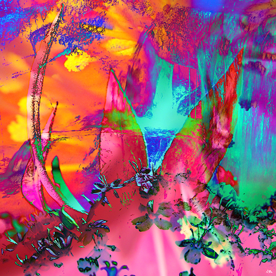 inspira-012