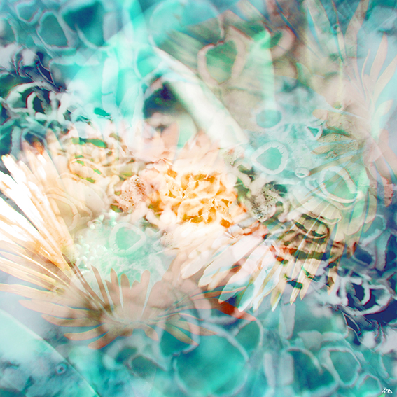 inspira-022
