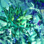 INSPIRA-027-paysage