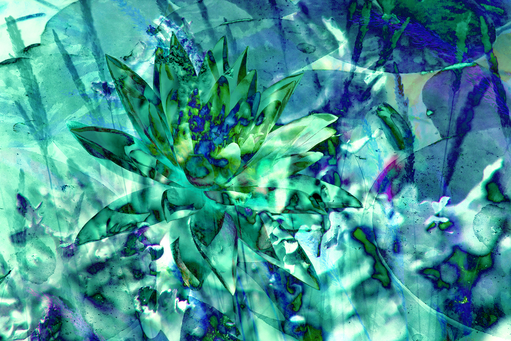 inspira-027-paysage