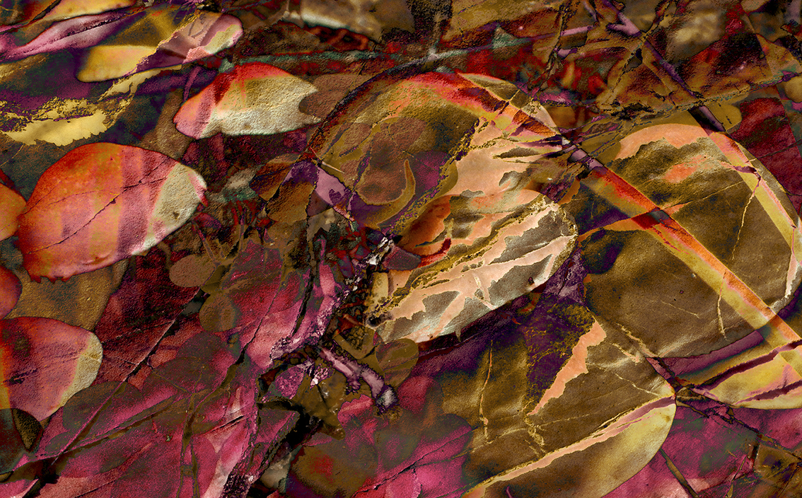 inspira-028
