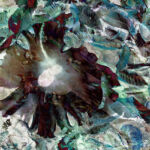 INSPIRA-031