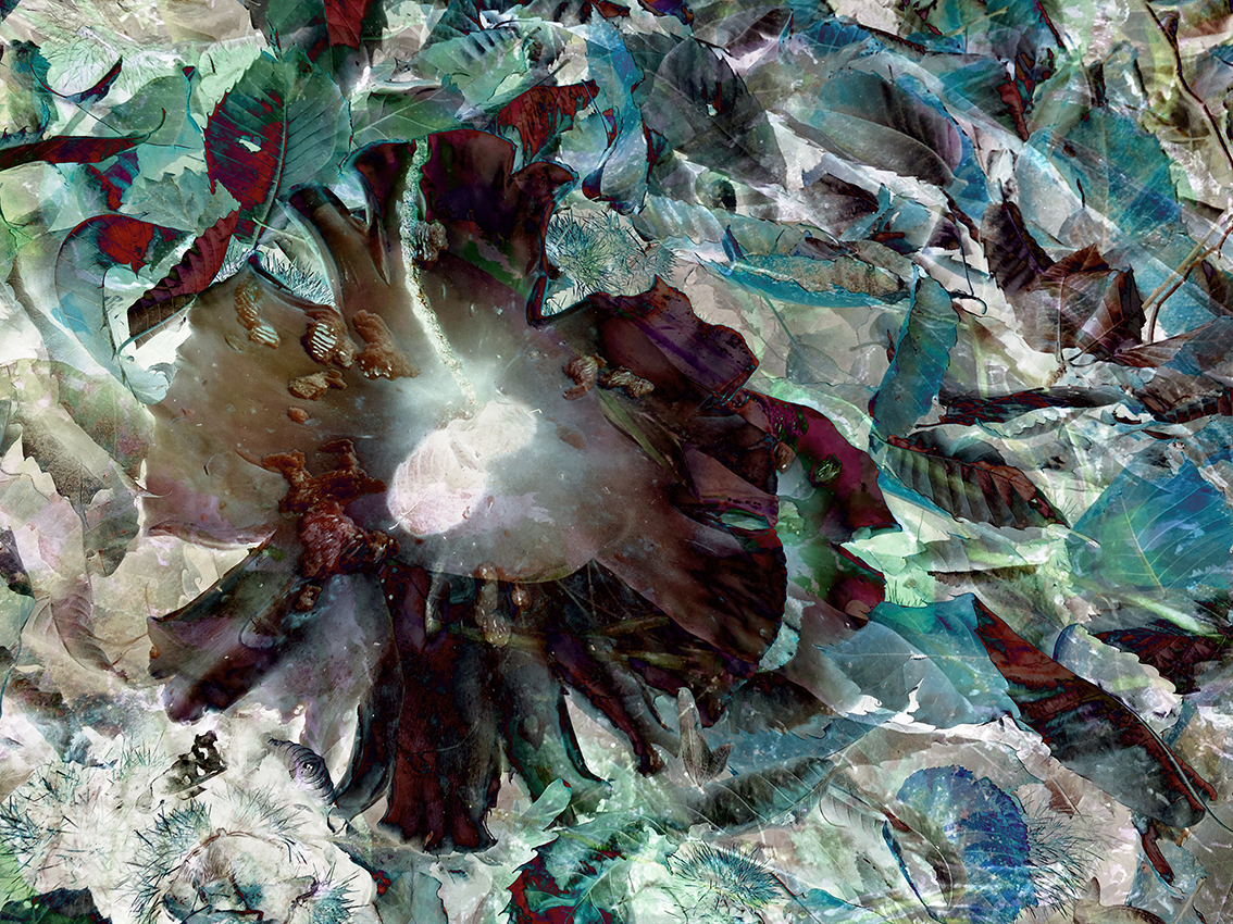 inspira-031