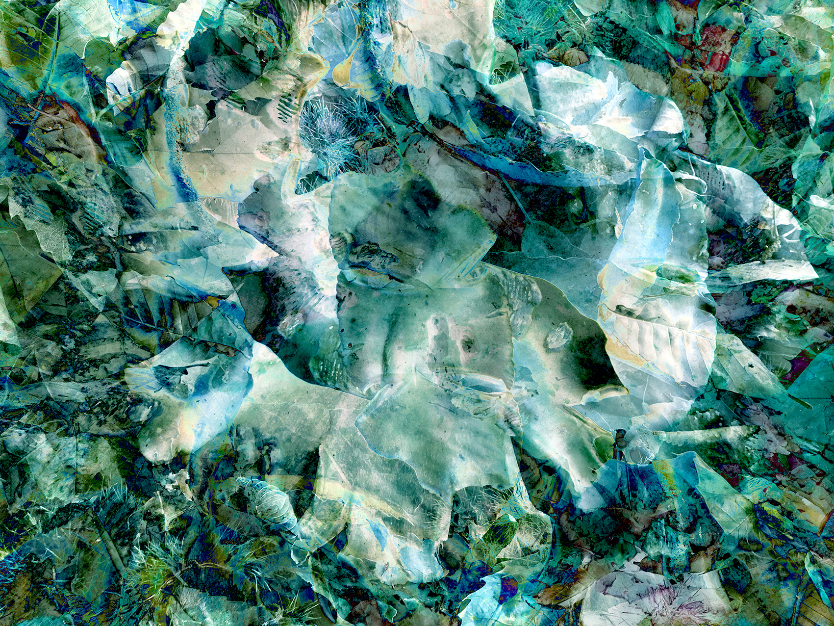 inspira-032