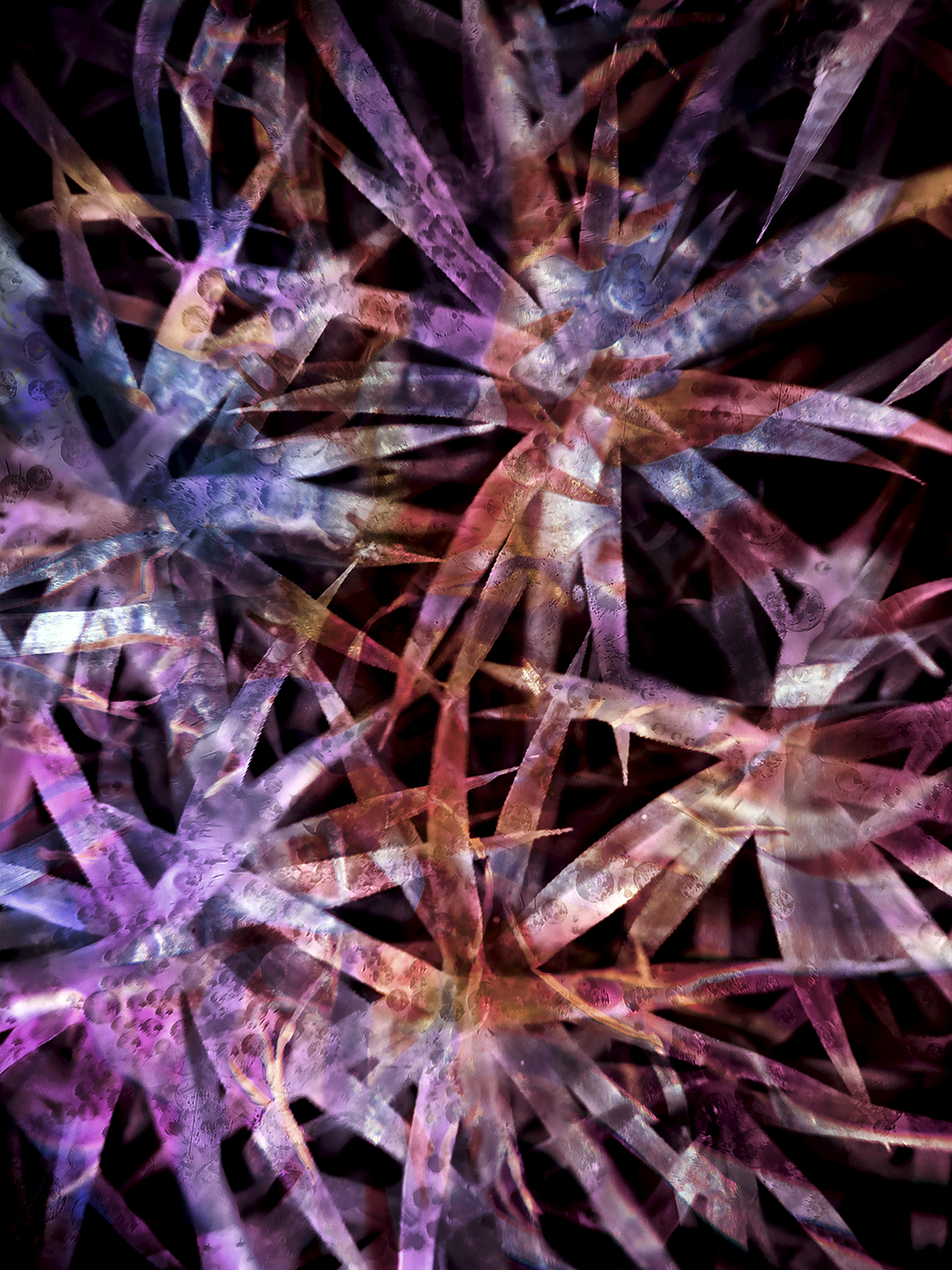 inspira-040