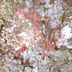INSPIRA-042-03 par Isabelle Moussu, Iza