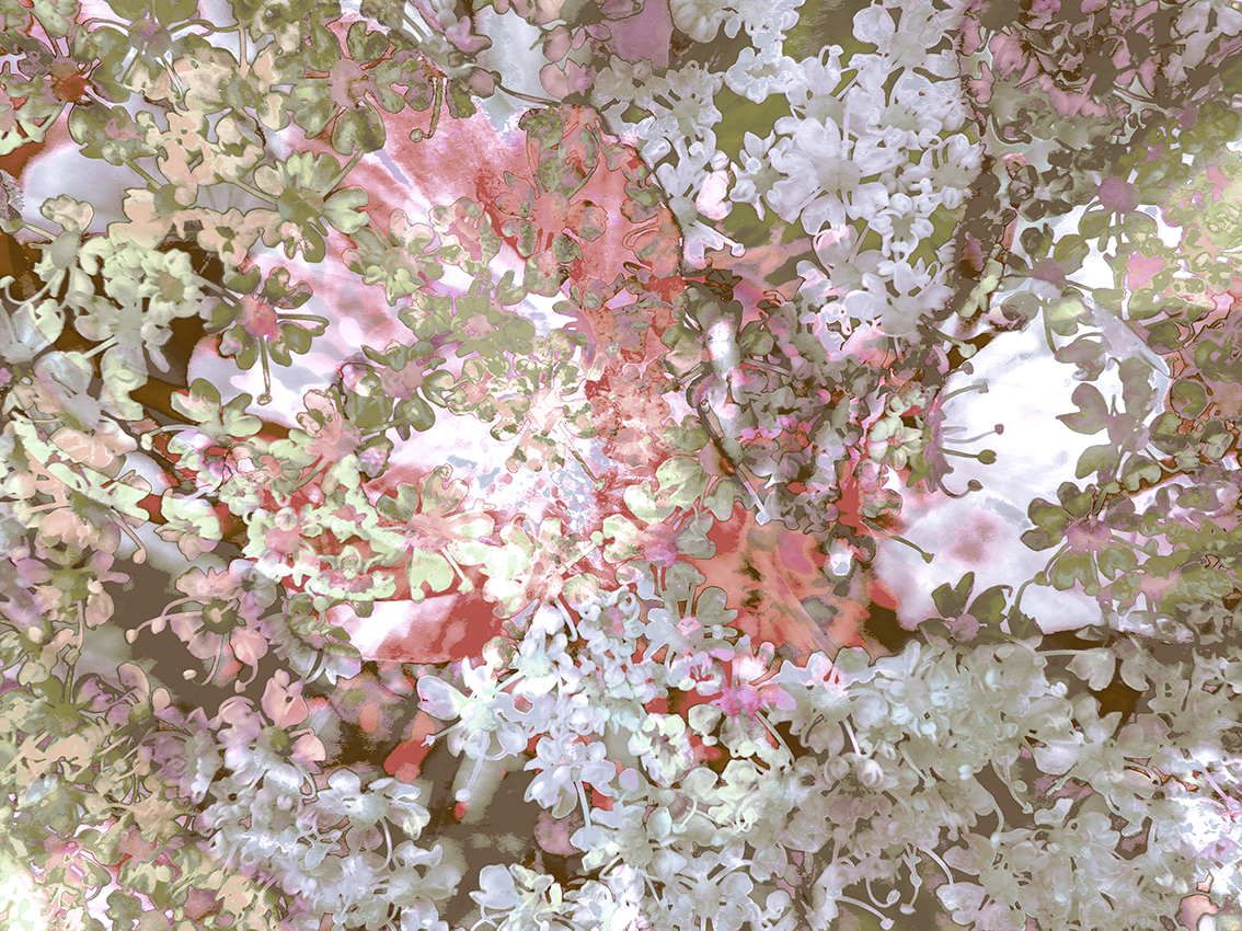 inspira-042-03