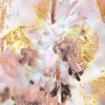 INSPIRA-058-existen-ciel par Isabelle Moussu, Iza
