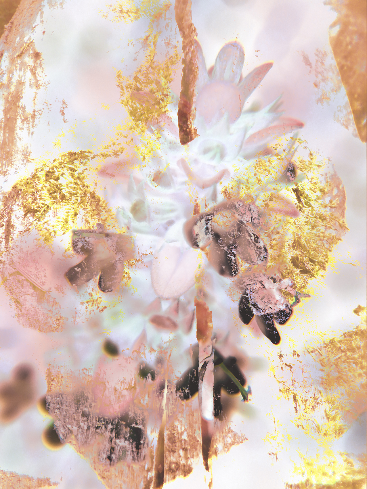 inspira-058-existen-ciel