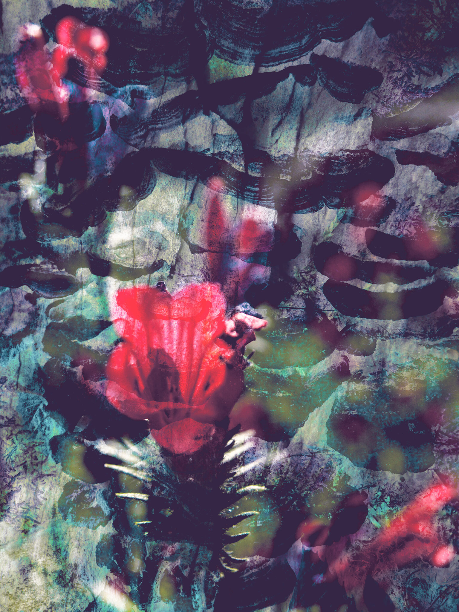 inspira-060-fleurdesoupir