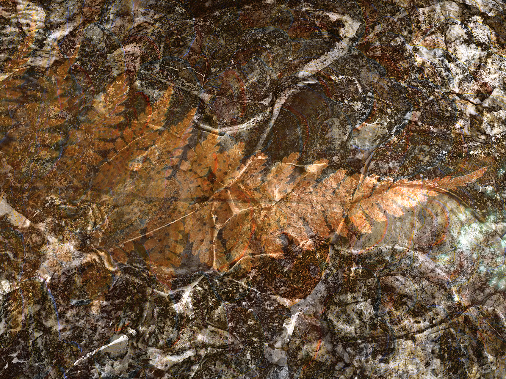 inspira-063-fossilum
