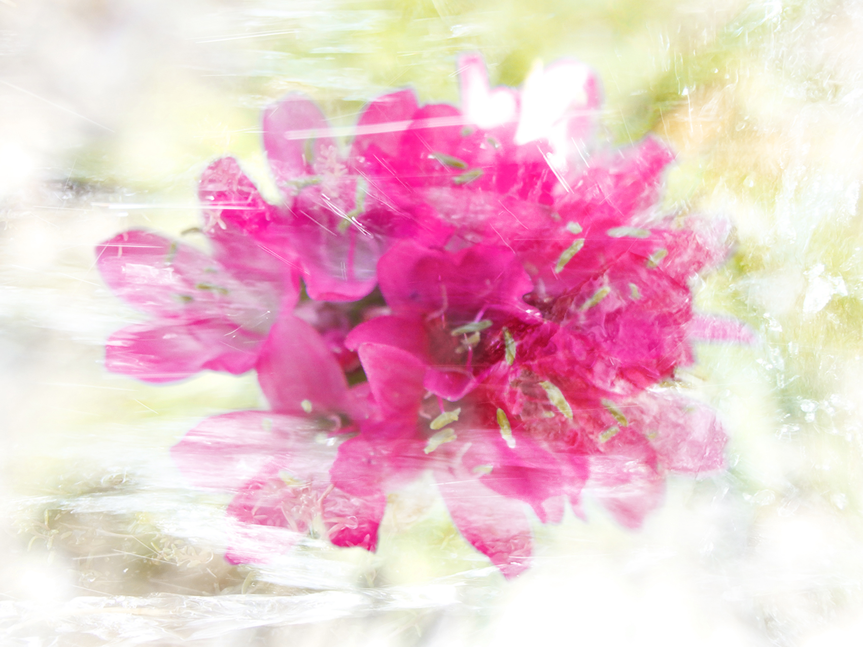inspira-064-souffle-ephemere