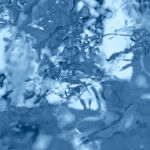 INSPIRA-29-​Attrape-rêve-monochrome-bleu