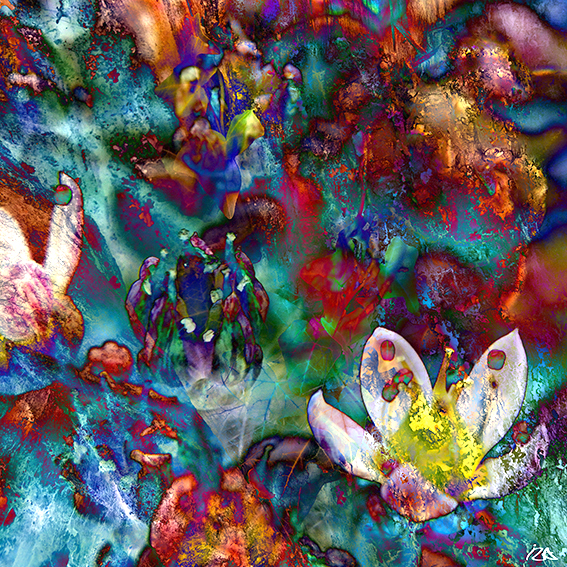 inspira_002