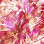 Abundantia - pivoine par Isabelle Moussu, Iza