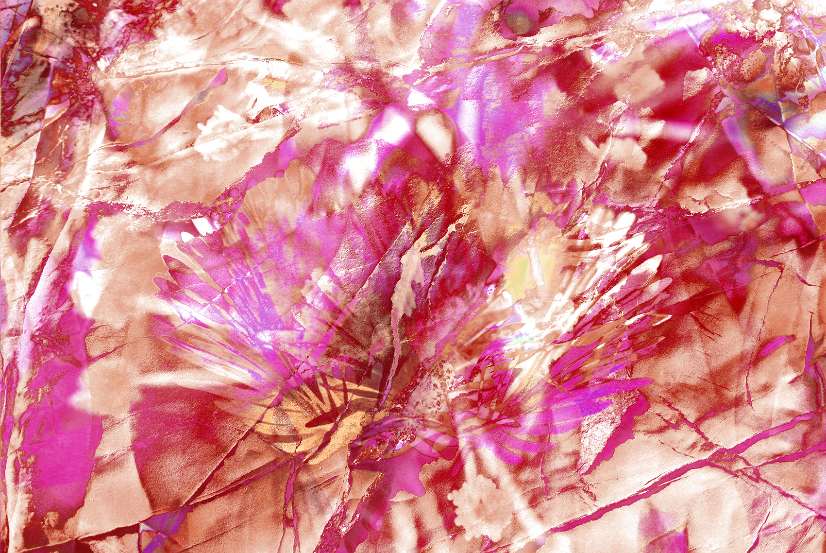 abundantia-pivoine