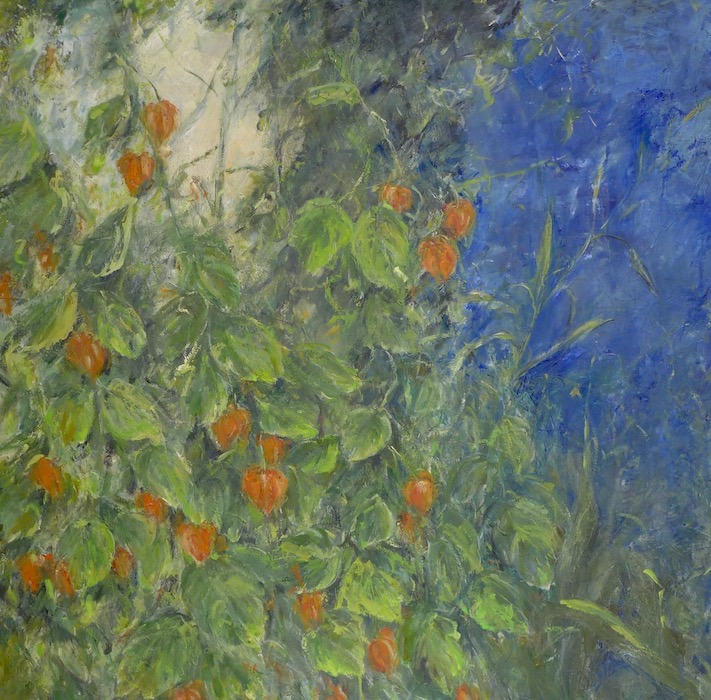 jardin-9