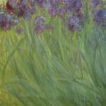 Iris jardin par ESTÉVENIN Mireille