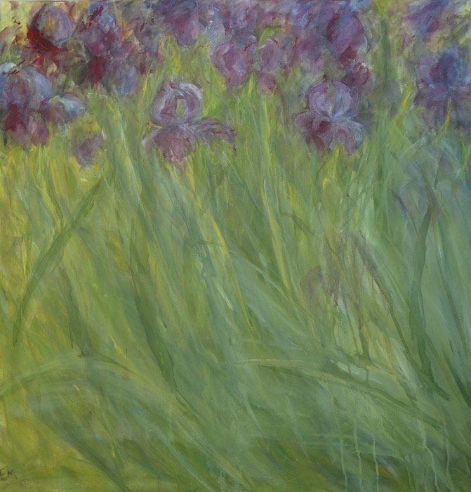 iris-jardin