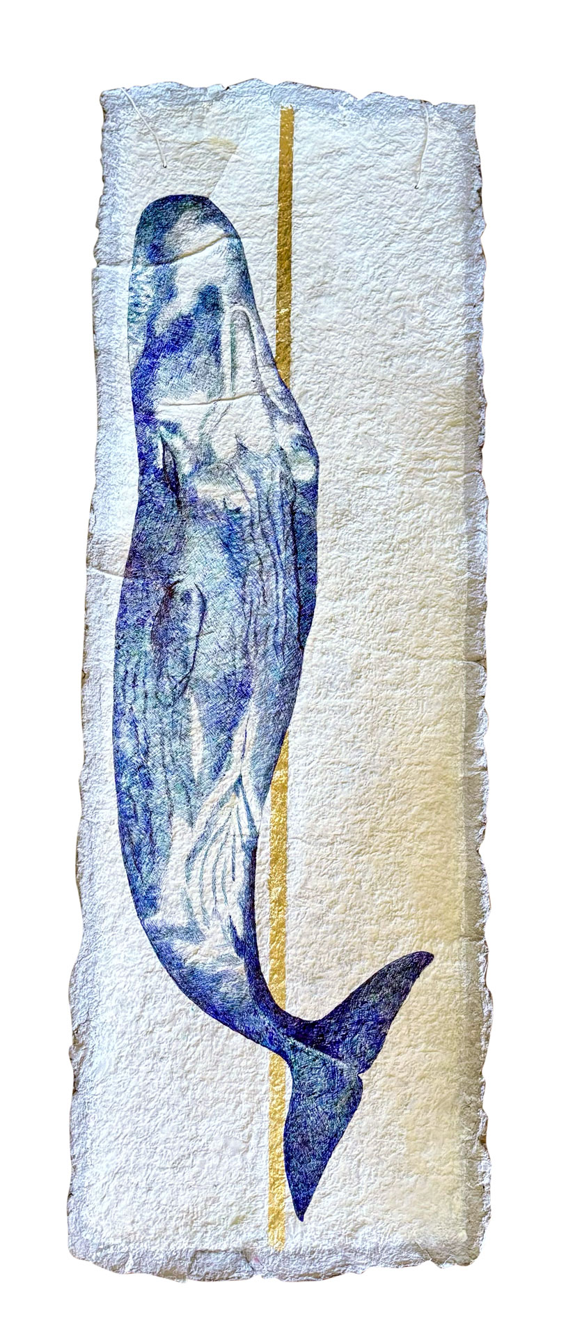 la-sieste-du-cachalot