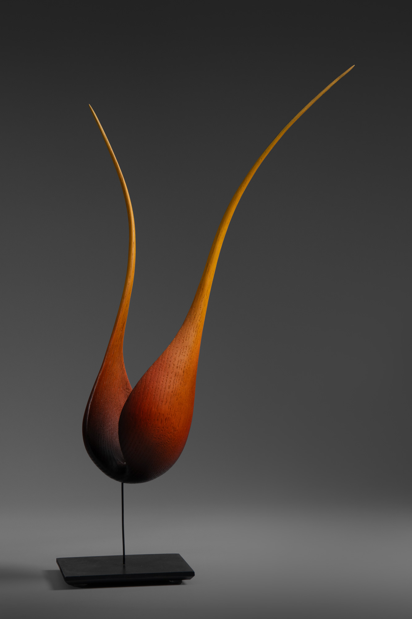 flame_dark_1_web