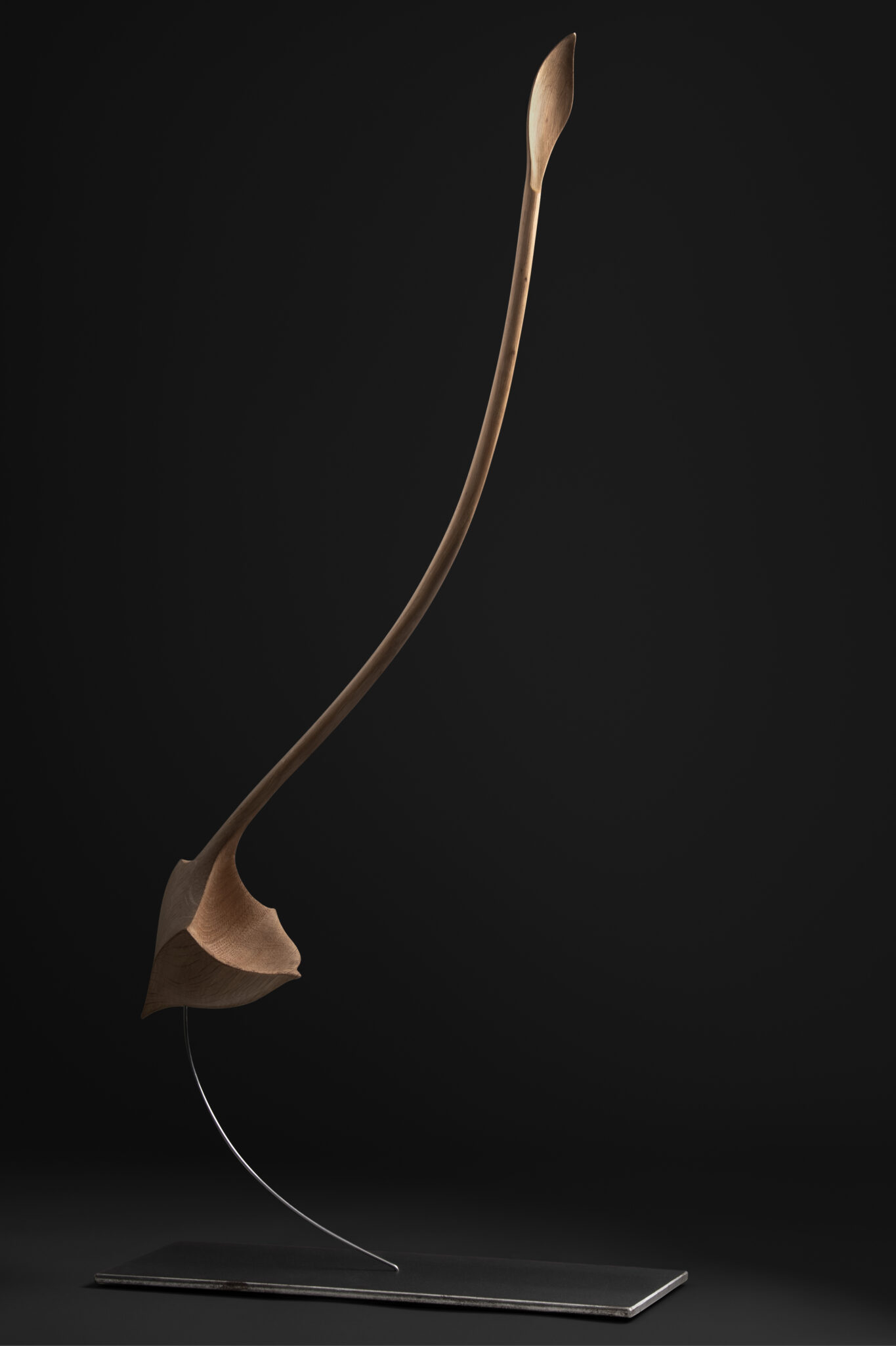 seed_life_dark_vertical_web
