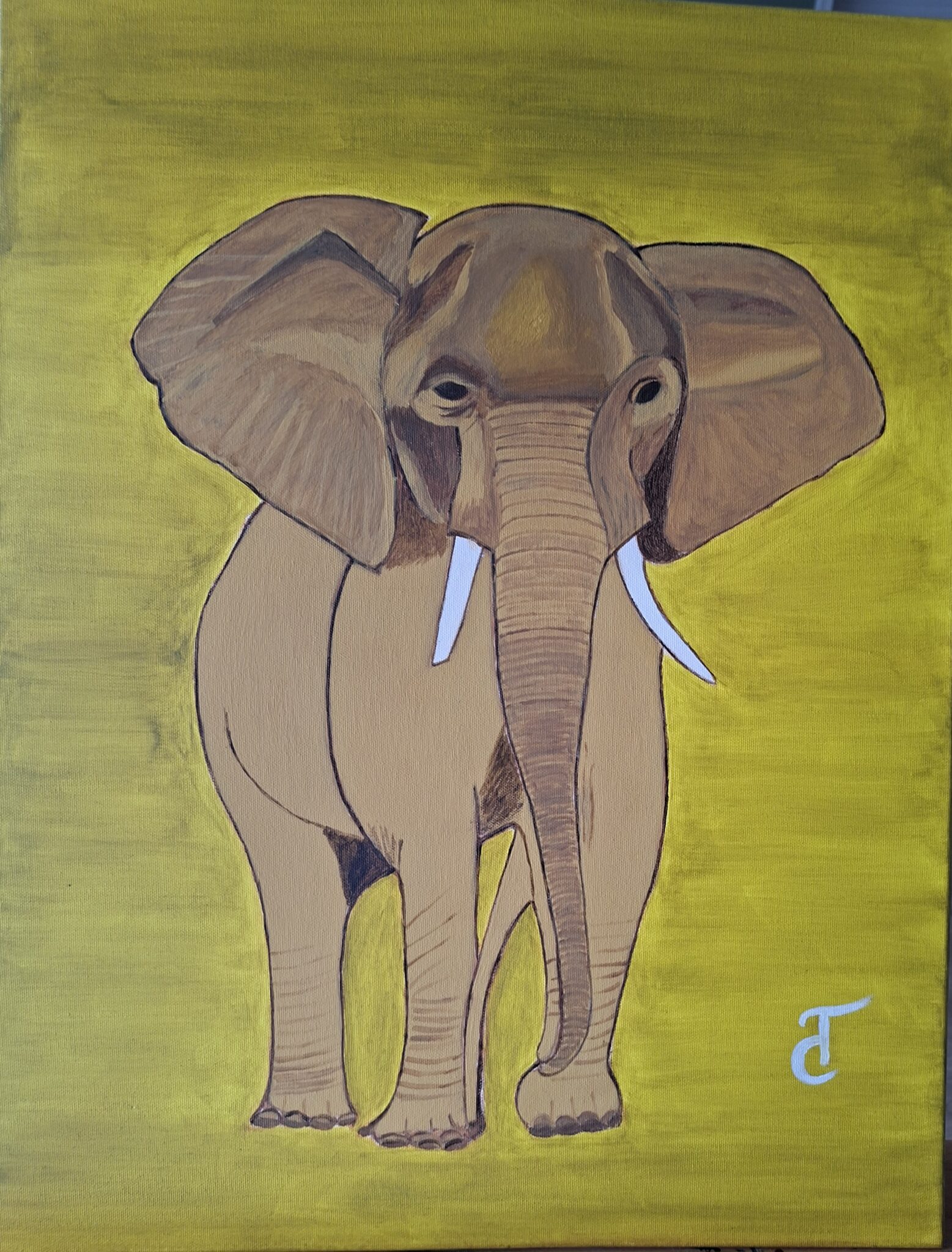 elephantus