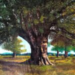 Le chêne de Flagey par Renaud WIDMER
