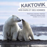 Kaktovik, des ours et des hommes