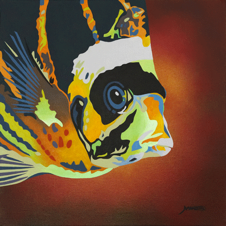 poisson-papillon-raton-laveur