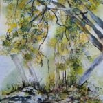 L\'appel de la forêt