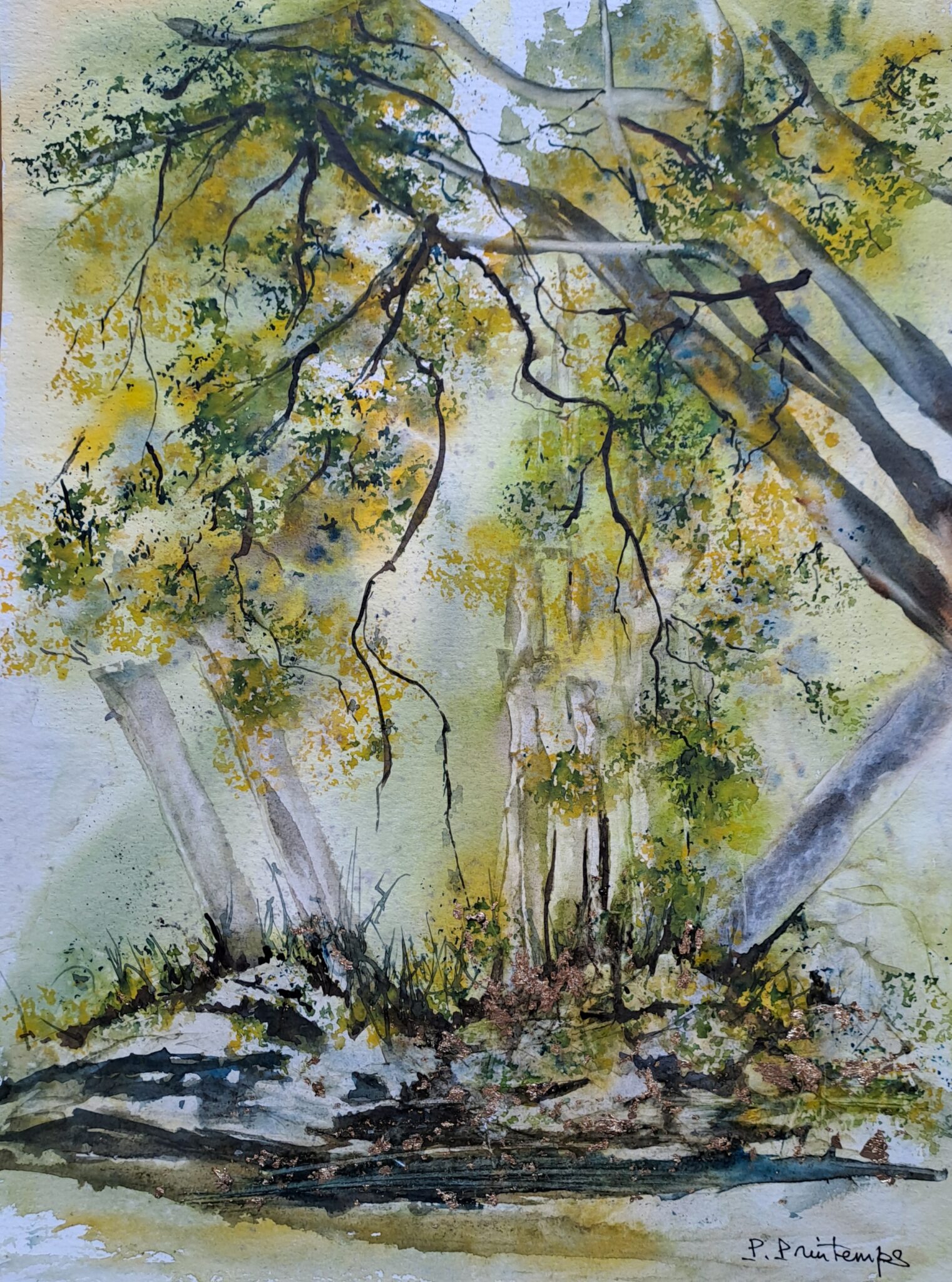 lappel-de-la-foret-3