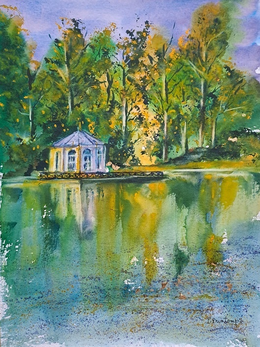 reflets-sur-letang-aux-carpes