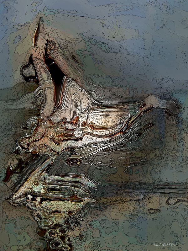 envol_2023_mrichard