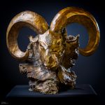 Mouflon de Bavella par Stephane DEGUILHEN