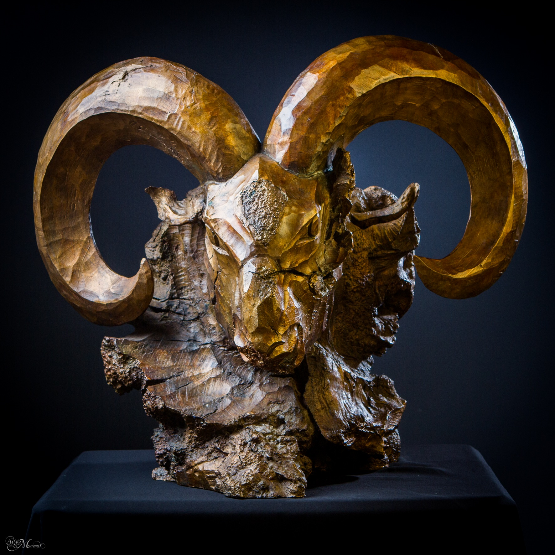 mouflon-de-bavella