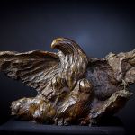 Bald Eagle par Stephane DEGUILHEN