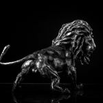 Lion à l\'affût , Lion on the lookout