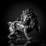 Lion à l\'affût , Lion on the lookout