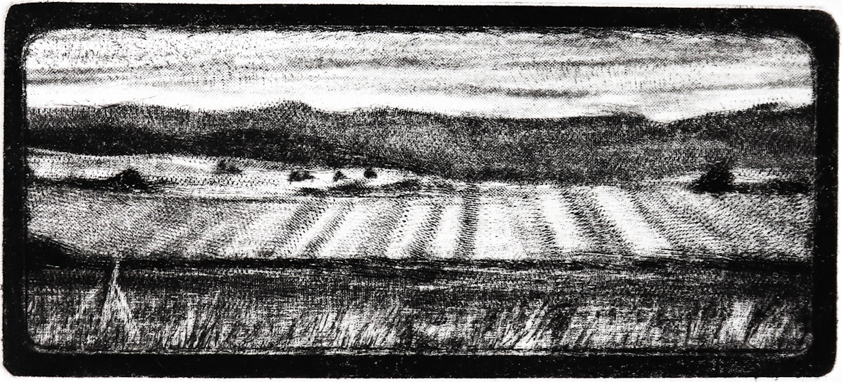 nathalied-alava-2024-berceau-roulette-5x8cm-20x20-light