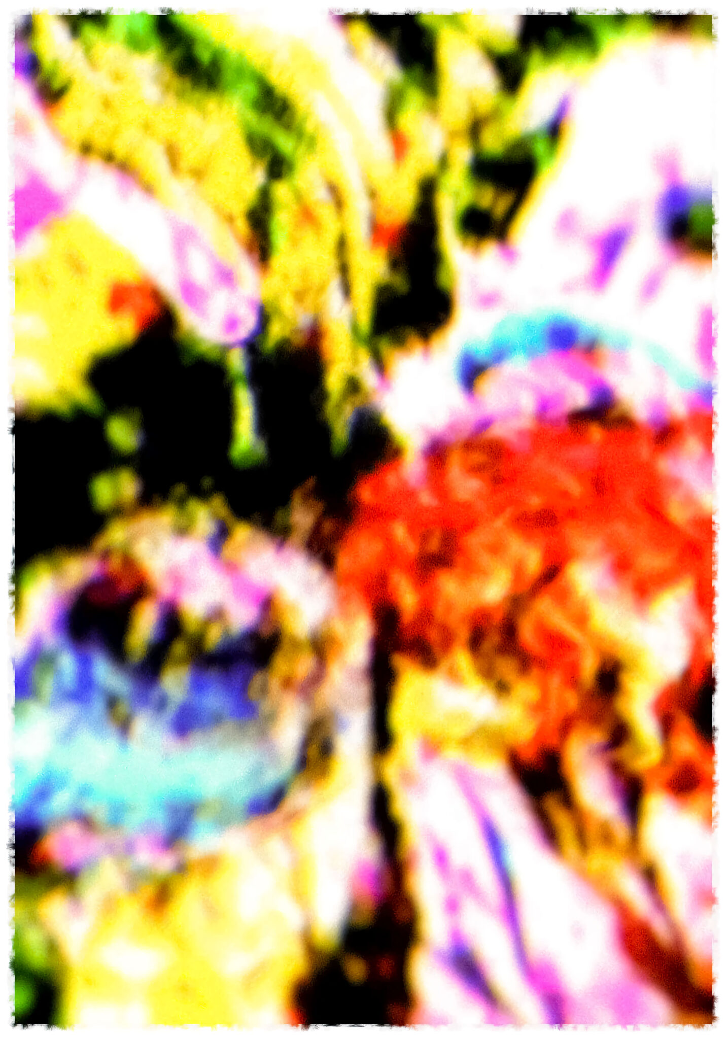 la-danseuse-de-flamenco