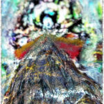 Les lamentations de l\'océan par Richard Chester
