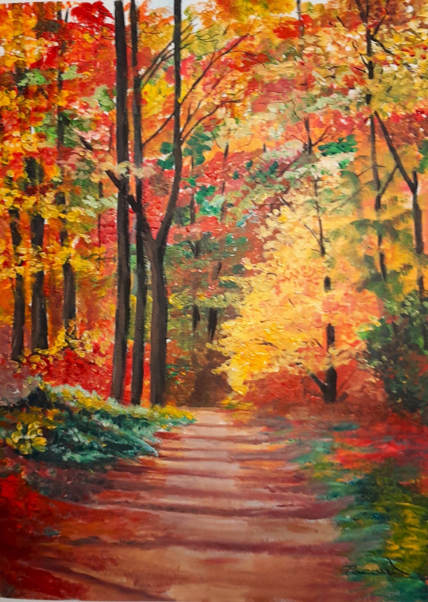 45-dans-le-petit-bois