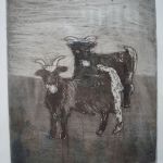 Les biquettes, eau-forte, Alissa Grün par Alissa Grün