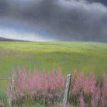 Les épilobes sous l'orage