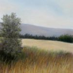 Les hautes Herbes