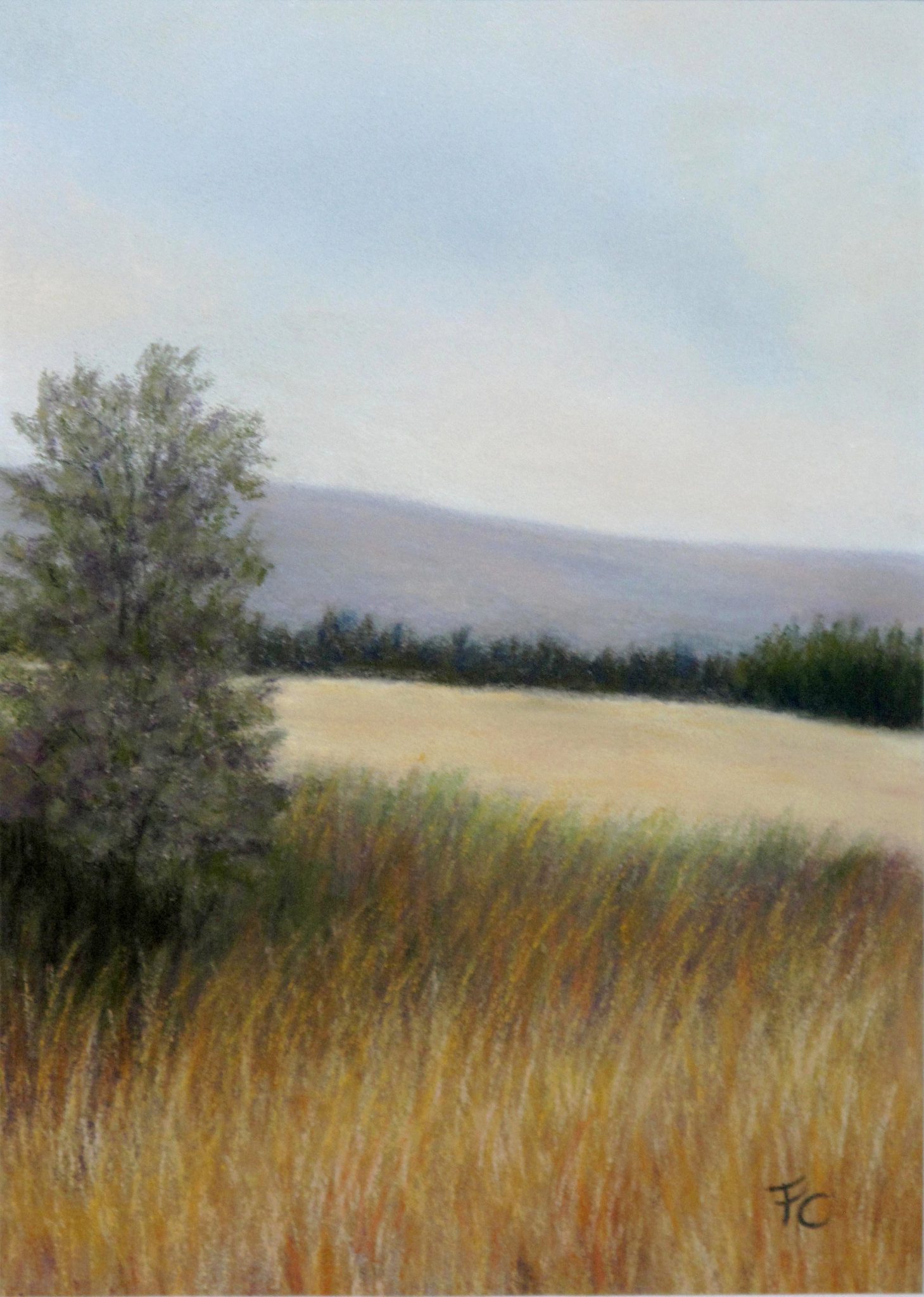 les-hautes-herbes